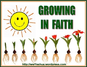 Growing in faith