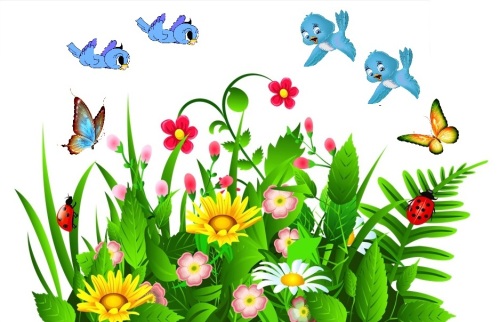 flowers birds and butterflies