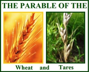 Wheat and tares (E)
